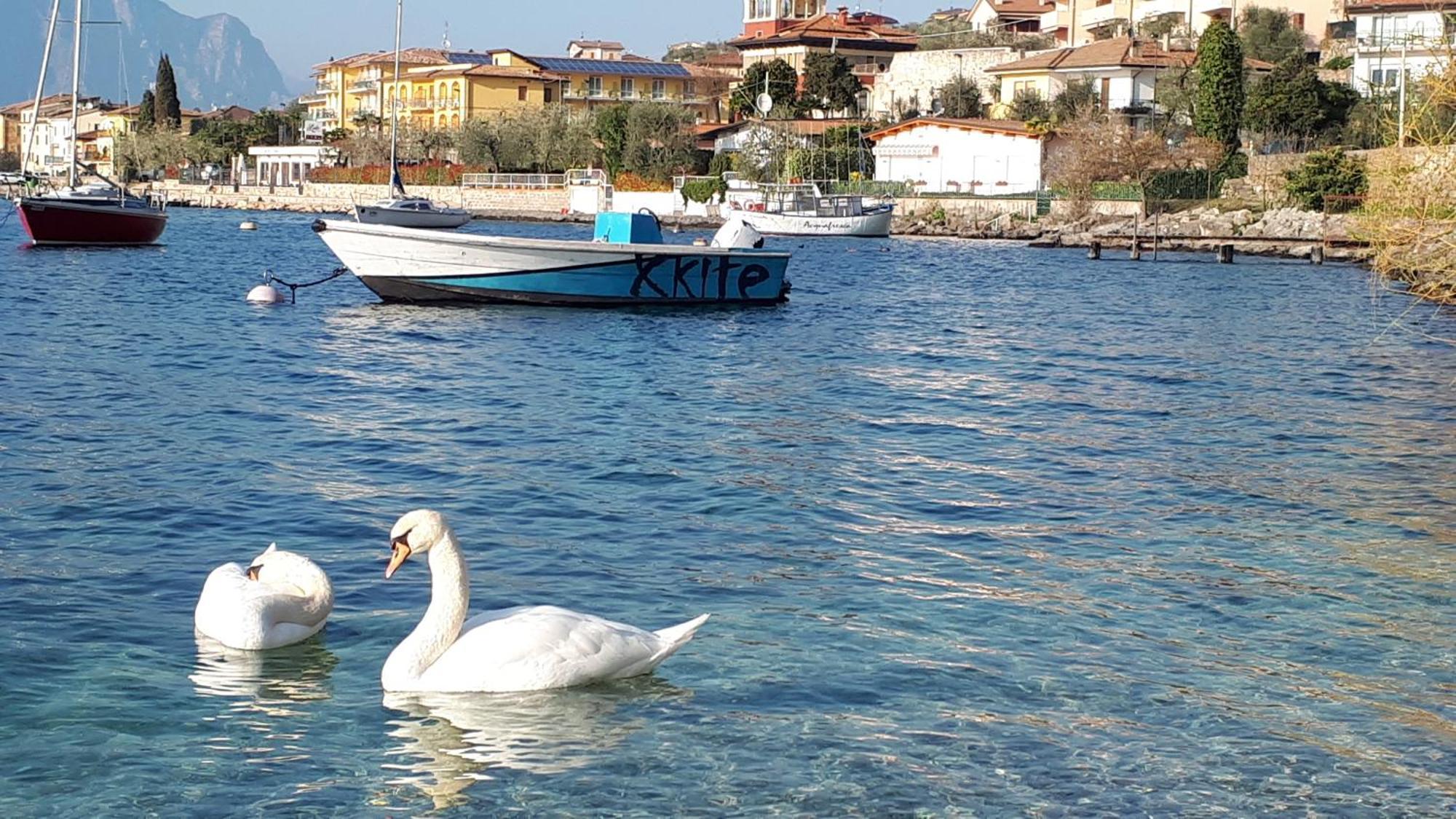 Appartamenti Casa Nina, Lago,Montagne, Uliveti Brenzone sul Garda Bagian luar foto